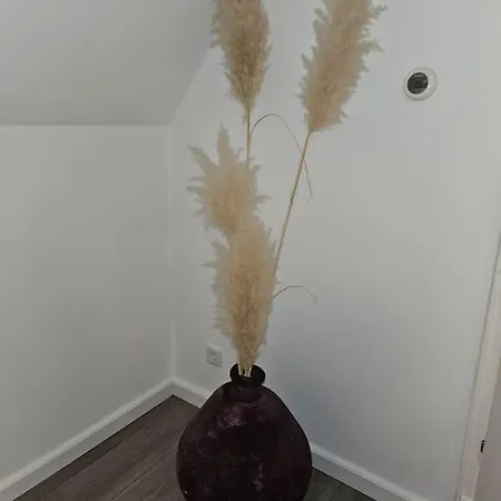 Mooi Aan De Grens! Enschede 10km Apartment *