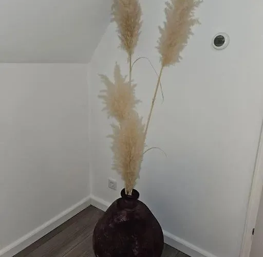 Mooi Aan De Grens! Enschede 10km Appartamento *